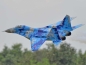 Preview: Black Horse Model MiG-29 / 1635 mm ARF